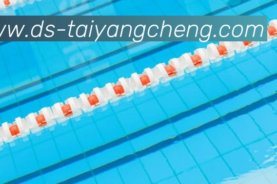 太阳城网站发展历程